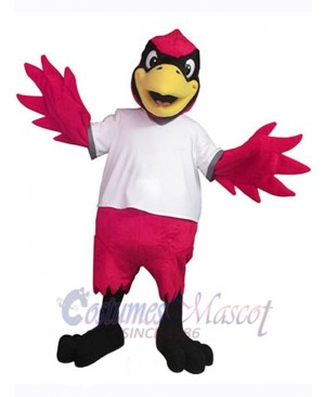 Cardinal Bird mascot costume