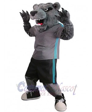 Bear mascot costume