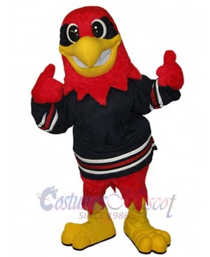 Hawk mascot costume