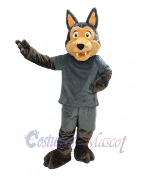 Coyote mascot costume