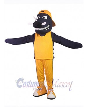 Dragon mascot costume