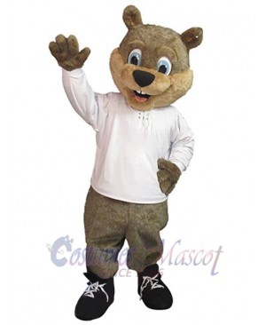 Squirrel mascot costume