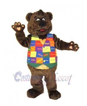 Bear mascot costume