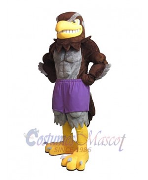 Falcon mascot costume