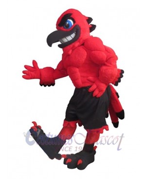Falcon mascot costume
