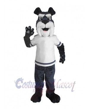 Dog mascot costume