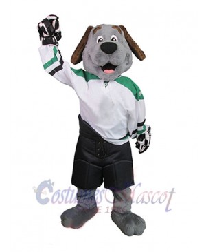 Dog mascot costume