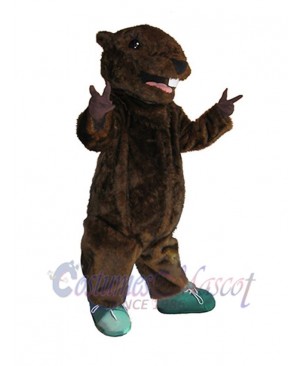 Beaver mascot costume