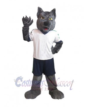 Wolf mascot costume
