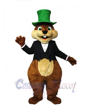 Squirrel mascot costume