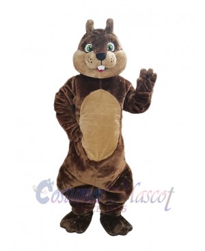 Squirrel mascot costume