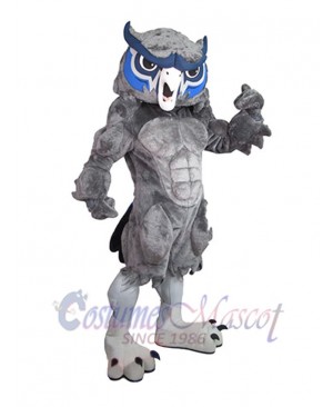 Owl mascot costume