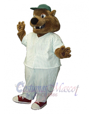Cat mascot costume