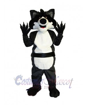 Raccoon mascot costume