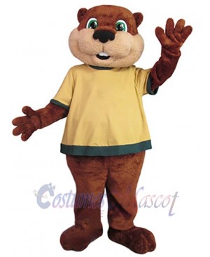 Gopher mascot costume