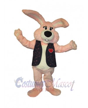 Easter Bunny Rabbit mascot costume