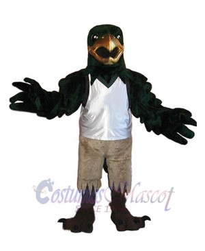 Falcon mascot costume