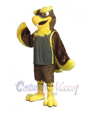 Falcon mascot costume