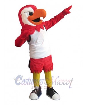 Falcon mascot costume