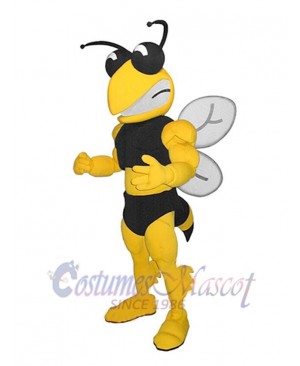 Bee mascot costume