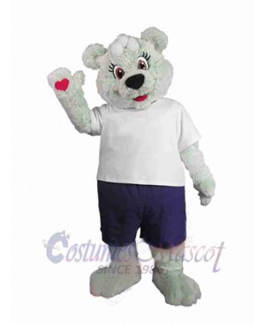 Bear mascot costume