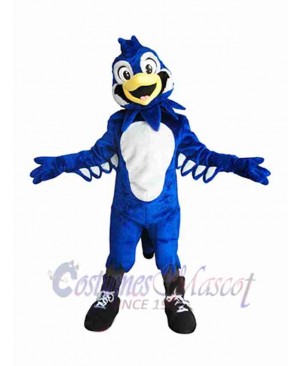 Bird mascot costume
