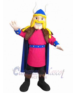 Viking mascot costume
