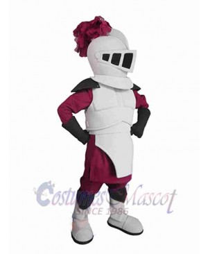 Knight mascot costume