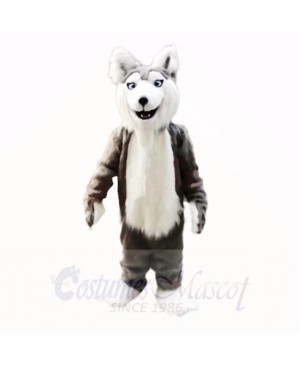 Gray Husky Dog Mascot Costumes Cartoon