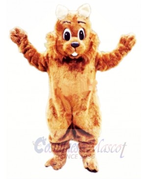 Top Quality Squirrel Mascot Costumes 