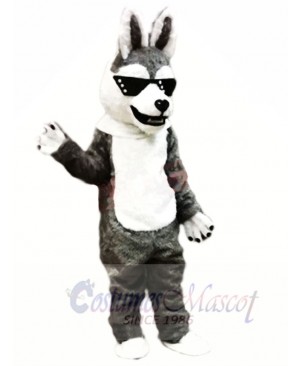 Cool Husky Dog Mascot Costumes Animal	