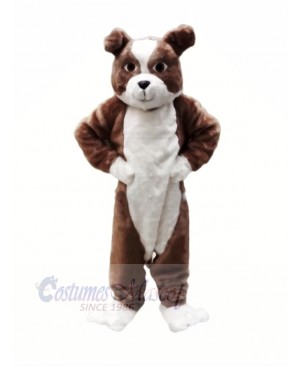 Plush Brown Bulldog Mascot Costumes Cartoon