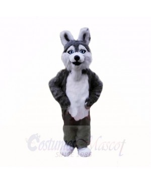 Smiling Grey Plush Husky Dog Mascot Costumes School