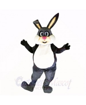 Gray Friendly Lightweight Bunny Mascot Costumes Cartoon