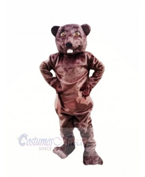 Happy Beaver Mascot Costumes Adult 