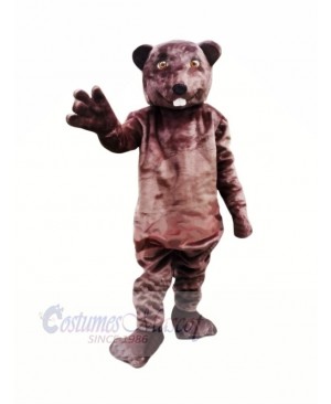 Happy Beaver Mascot Costumes Adult 