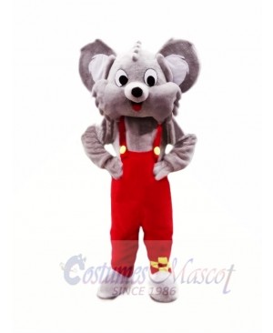 Cute Grey Koala Mascot Costumes