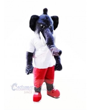 Power Grey Elephant Mascot Costumes Cartoon