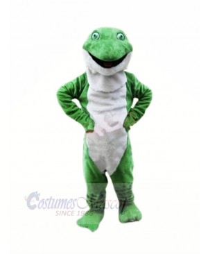 Plush Green Frog Mascot Costumes Cartoon