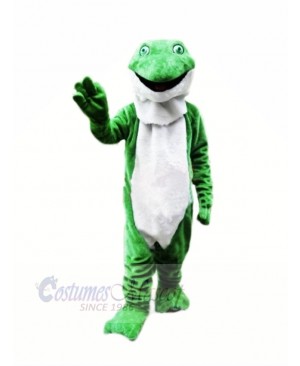 Plush Green Frog Mascot Costumes Cartoon