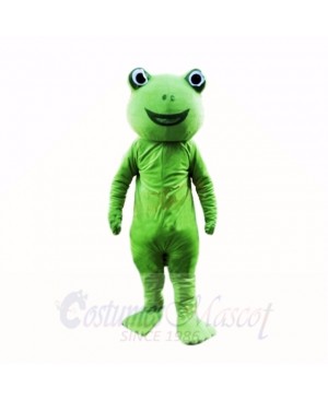 Green Frog Mascot Costumes Cartoon