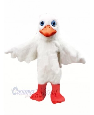 Seagull in Blue Eyes Mascot Costumes Cartoon