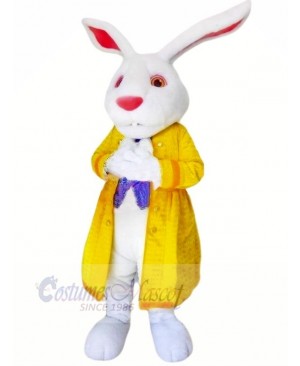 Rabbit with Yellow Jacket Mascot Costumes Animal