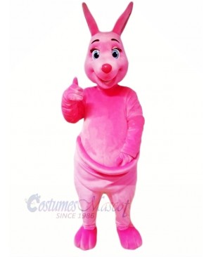 Pink Kangaroo Mascot Costumes Cartoon