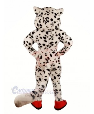 Happy Snow Leopard Mascot Costumes Cartoon