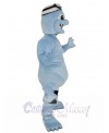 Frog mascot costume