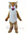 Brand New Tiger Mascot Costumes 