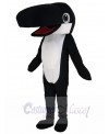 Killer Whale mascot costume