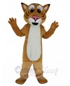 Bobcat mascot costume