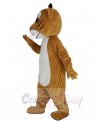 Bobcat mascot costume